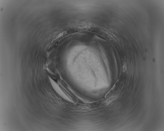 X0000076351156200610161751