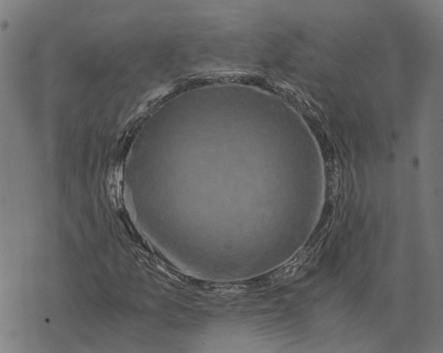 X0000076351157200610161751