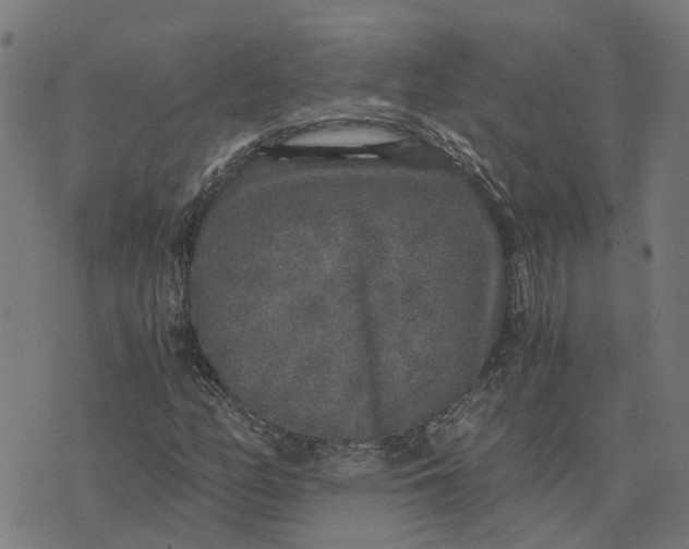 X0000076351158200610161751