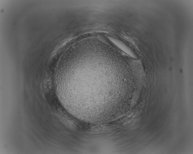 X0000076351159200610161751