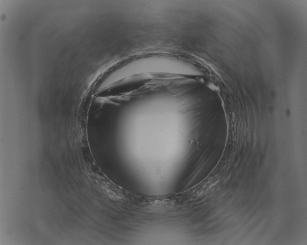 X0000076351160200610161751