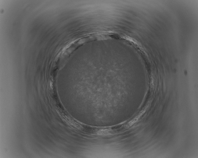 X0000076351161200610161751