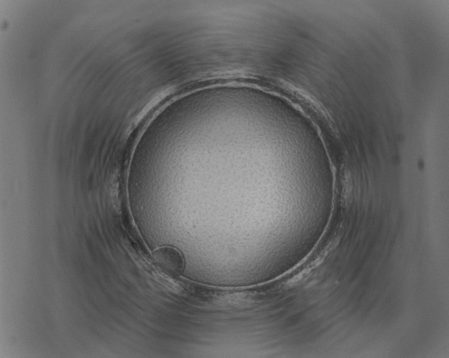 X0000076351162200610161751