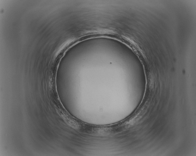 X0000076351163200610161751