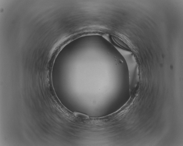 X0000076351164200610161751