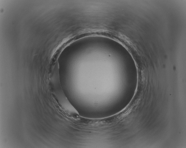 X0000076351165200610161751