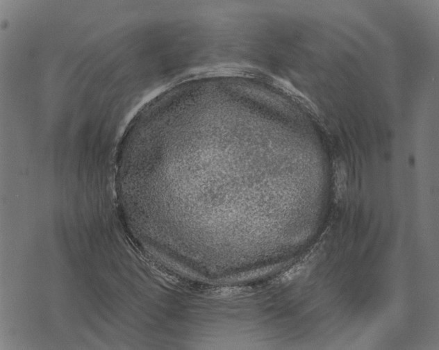 X0000076351166200610161751