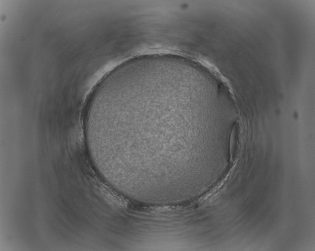 X0000076351167200610161751