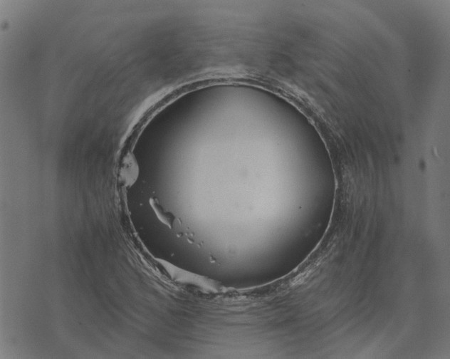 X0000076351168200610161751