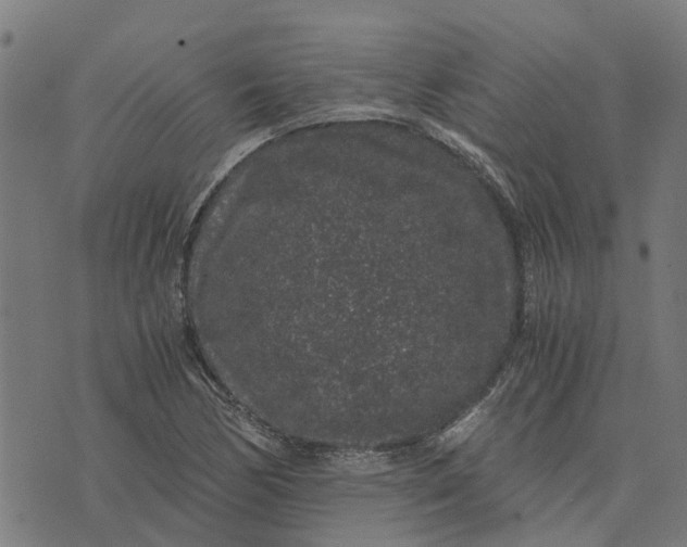 X0000076351170200610161751