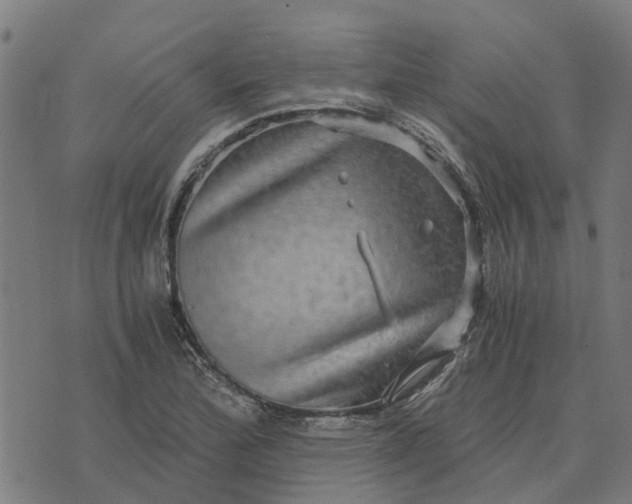 X0000076351172200610161751