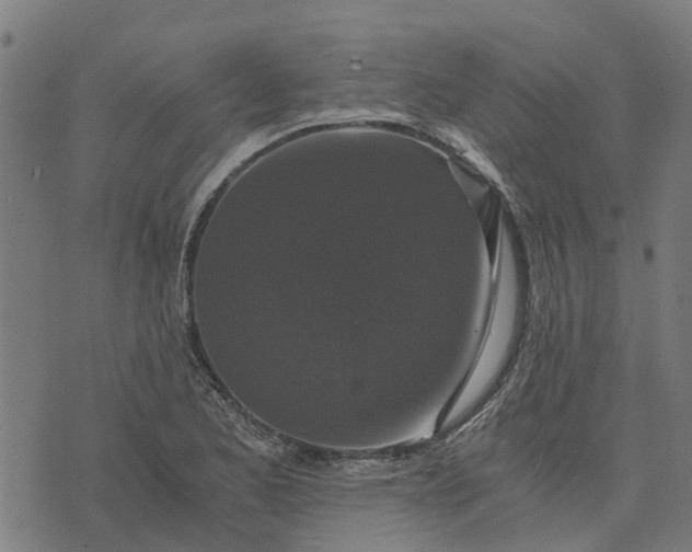 X0000076351173200610161751