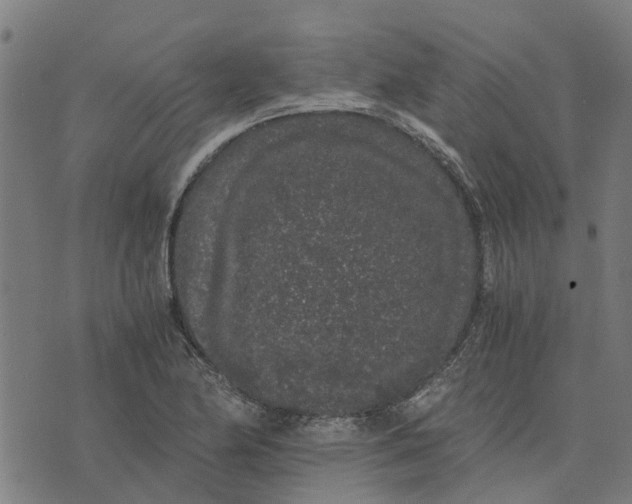 X0000076351174200610161751