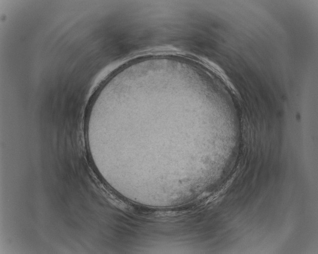 X0000076351176200610161751