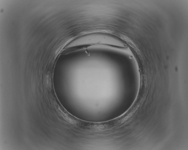 X0000076351177200610161751