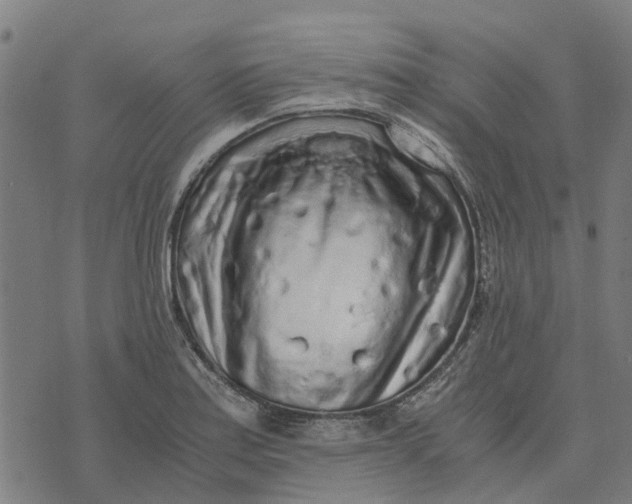 X0000076351179200610161751