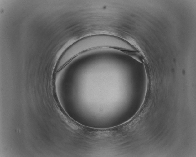 X0000076351181200610161751