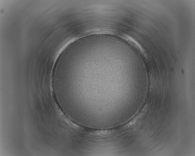 X0000076351182200610161751