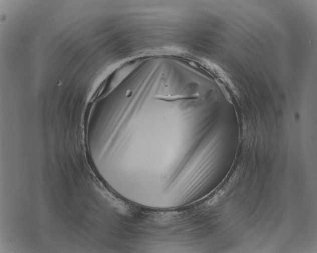 X0000076351184200610161751