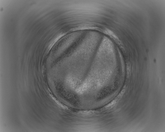 X0000076351185200610161751