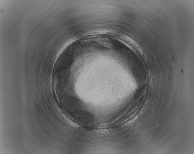 X0000076351186200610161751