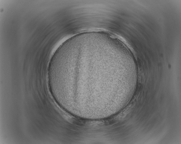 X0000076351187200610161751