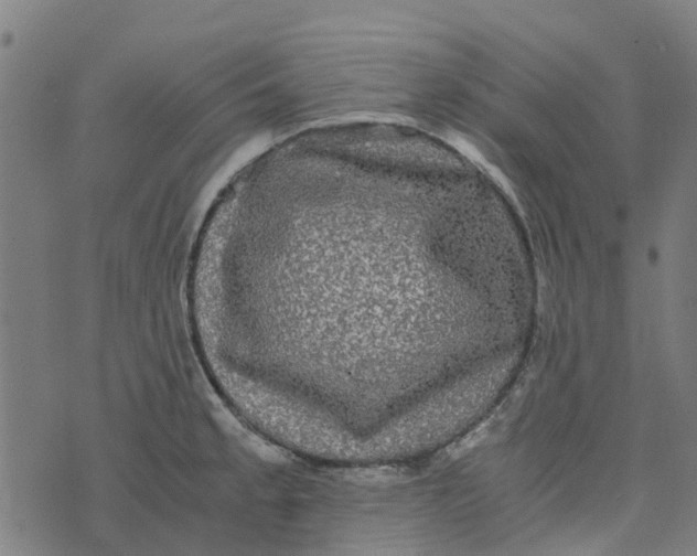 X0000076351189200610161751