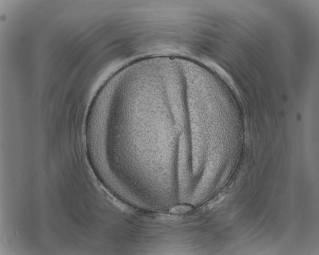 X0000076351191200610161751