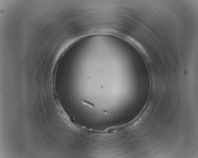 X0000076351192200610161751