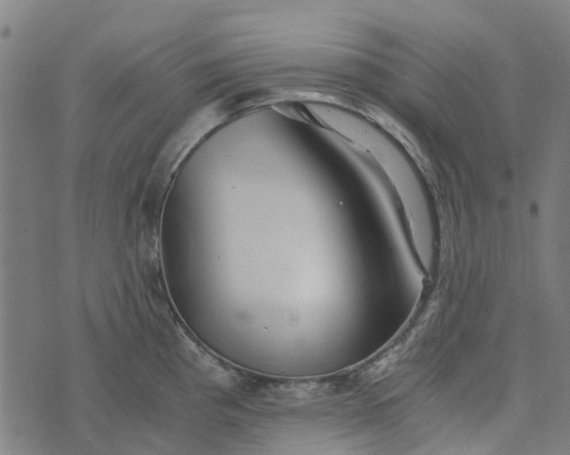 X0000076351193200610161751