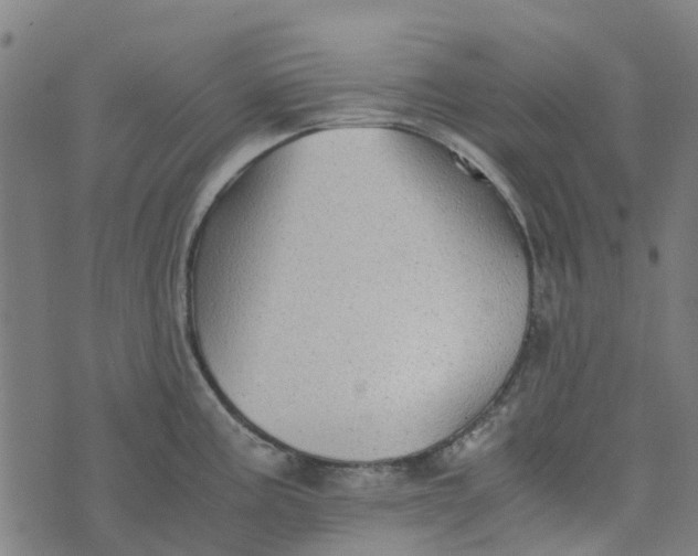 X0000076351195200610161751