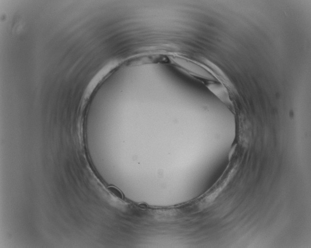 X0000076351196200610161751