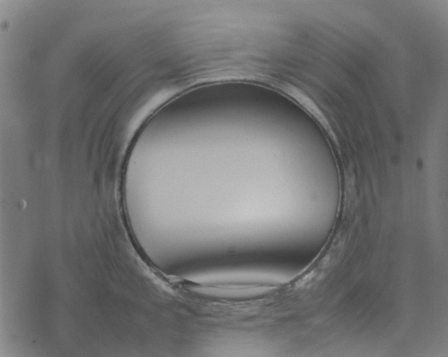 X0000076351197200610161751