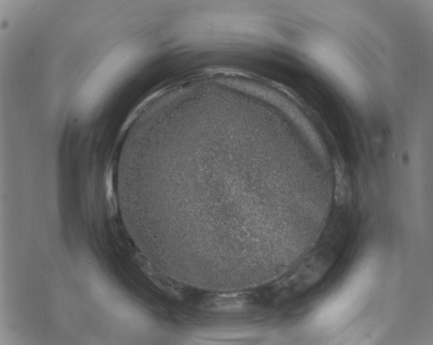 X0000076351198200610161751