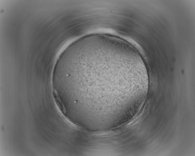 X0000076351199200610161751