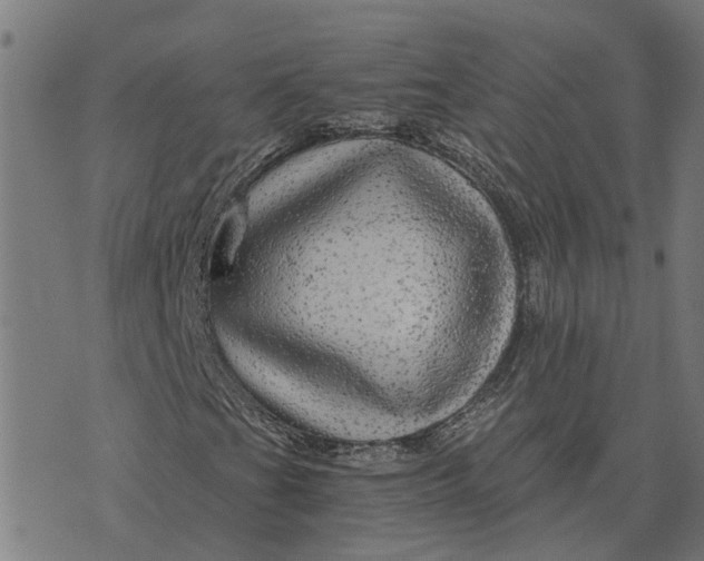 X0000076351201200610161750