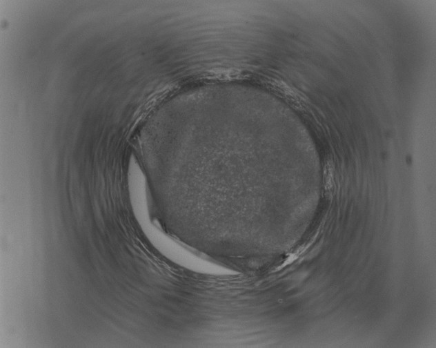 X0000076351202200610161750