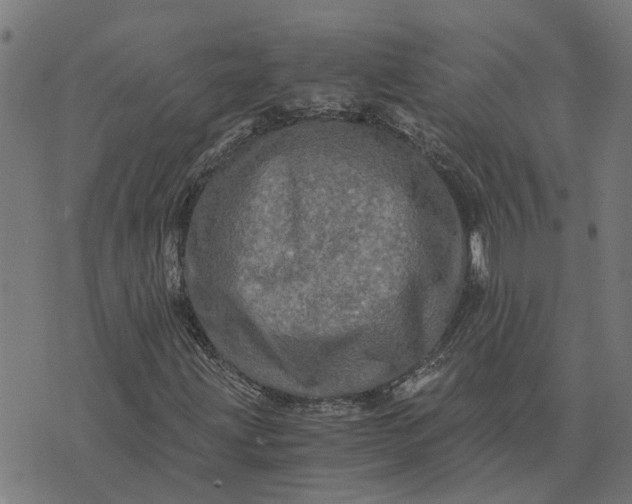 X0000076351203200610161750