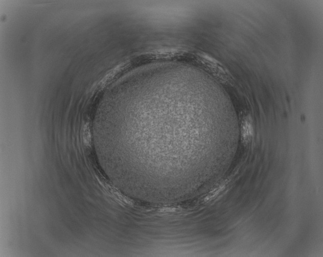 X0000076351204200610161750