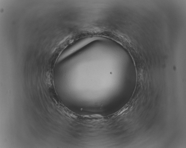 X0000076351205200610161750