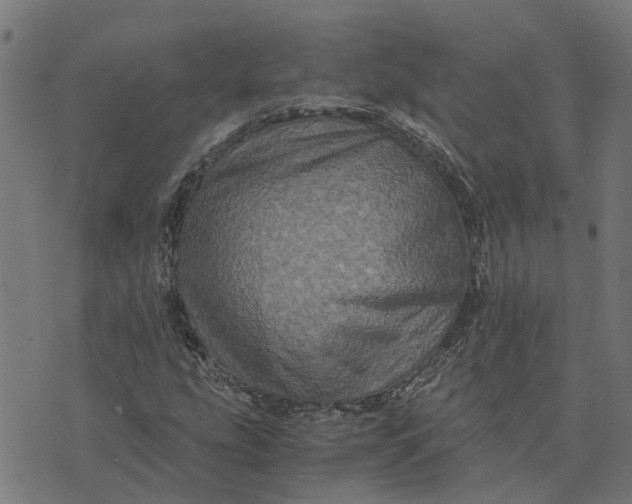 X0000076351207200610161750