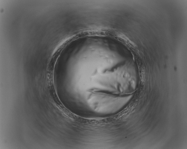 X0000076351208200610161750