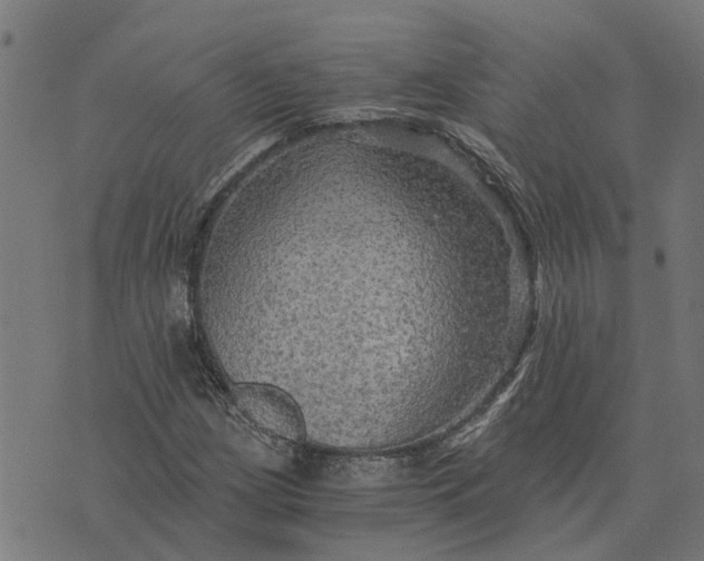 X0000076351209200610161750