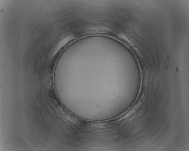 X0000076351211200610161750