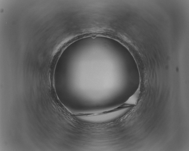 X0000076351214200610161750