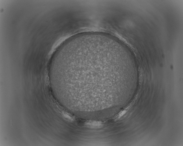 X0000076351215200610161750