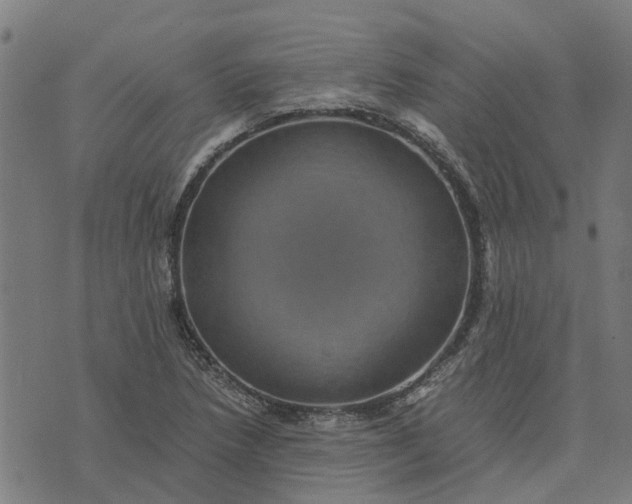 X0000076351218200610161750