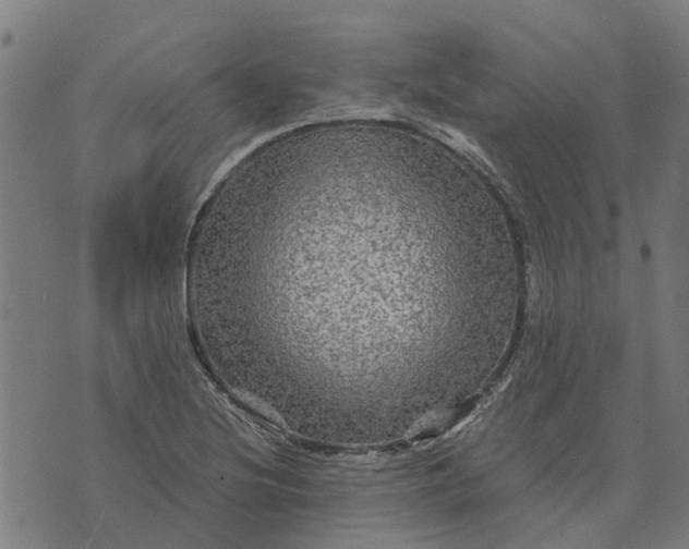 X0000076351220200610161750