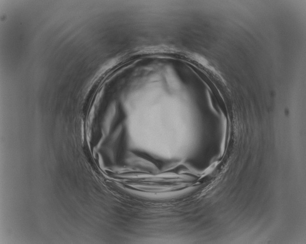 X0000076351221200610161750