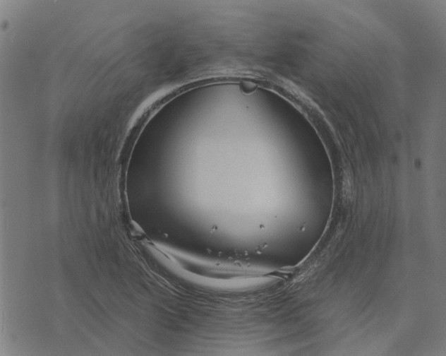 X0000076351222200610161750